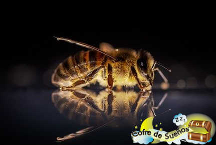 Significado de soñar con abejas